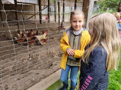 Foto des Albums: Besuch auf dem Bio-Hof Klasse 3b