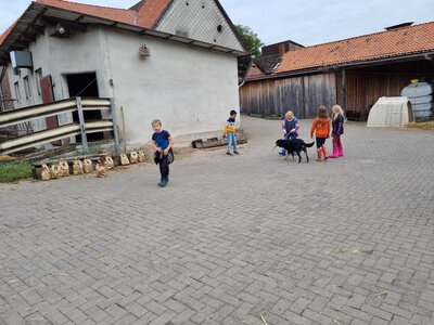 Foto des Albums: Besuch auf dem Bio-Hof Klasse 3b