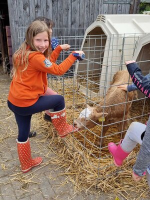 Foto des Albums: Besuch auf dem Bio-Hof Klasse 3b
