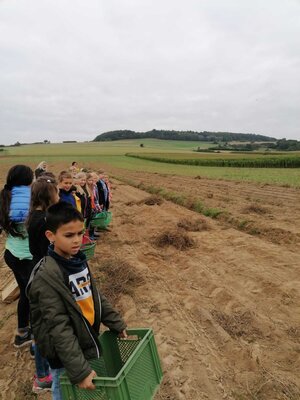 Foto des Albums: Besuch auf dem Bio-Hof Klasse 3b
