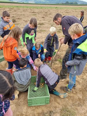 Foto des Albums: Besuch auf dem Bio-Hof Klasse 3b
