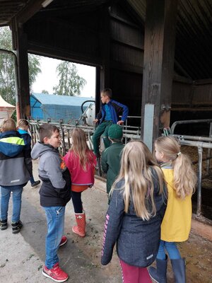 Foto des Albums: Besuch auf dem Bio-Hof Klasse 3b
