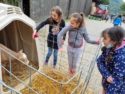 Foto des Albums: Besuch auf dem Bio-Hof Klasse 3b