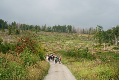 Noch war der Weg gut  (Bild vergr&ouml;&szlig;ern)