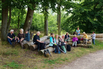 Rast am Panoramaweg  (Bild vergr&ouml;&szlig;ern)