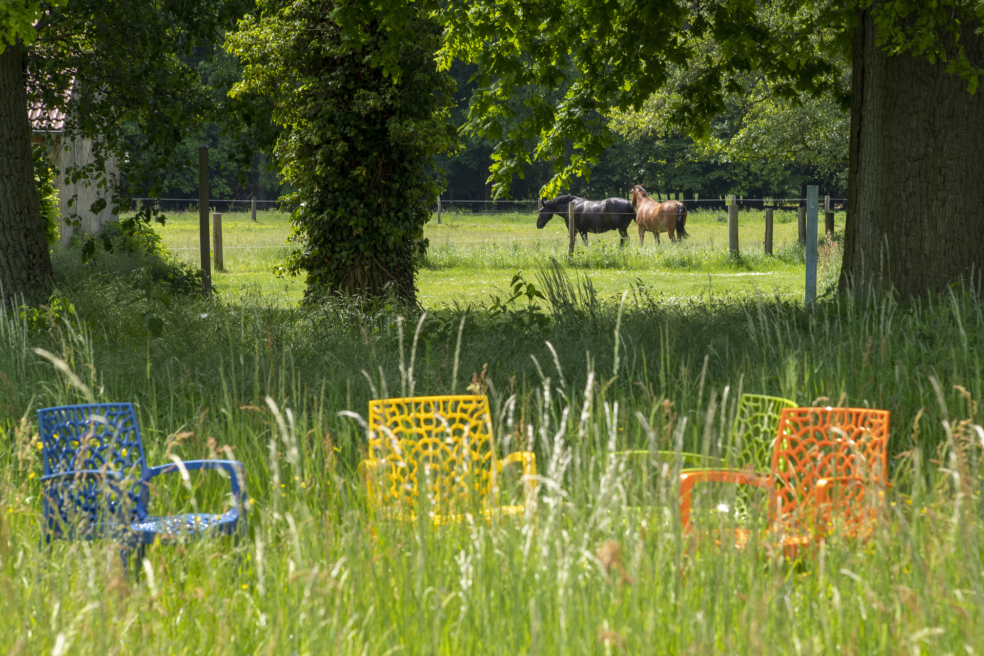 Bild: gästehaus-park 19