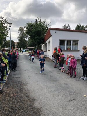Foto des Albums: Crosslauf