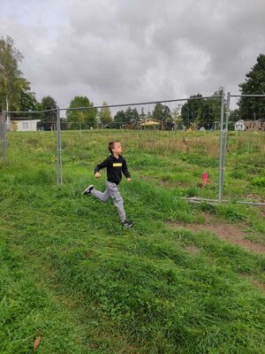 Foto des Albums: Crosslauf
