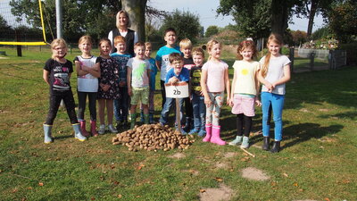 Foto des Albums: Kartoffelfest