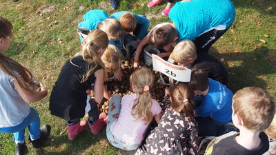 Foto des Albums: Kartoffelfest