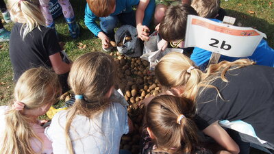 Foto des Albums: Kartoffelfest