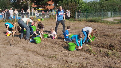 Foto des Albums: Kartoffelfest