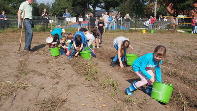 Foto des Albums: Kartoffelfest