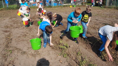 Foto des Albums: Kartoffelfest