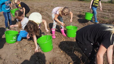 Foto des Albums: Kartoffelfest
