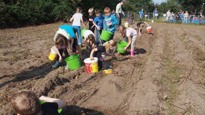 Foto des Albums: Kartoffelfest