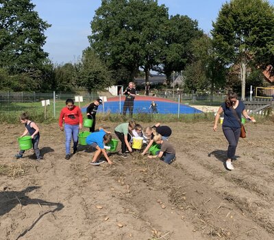 Foto des Albums: Kartoffelfest