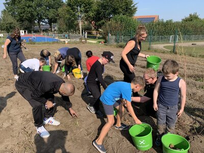 Foto des Albums: Kartoffelfest