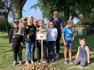 Foto des Albums: Kartoffelfest