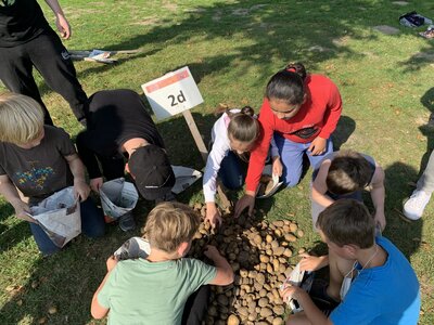 Foto des Albums: Kartoffelfest