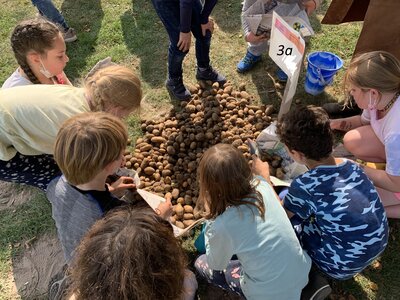 Foto des Albums: Kartoffelfest