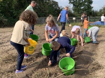 Foto des Albums: Kartoffelfest