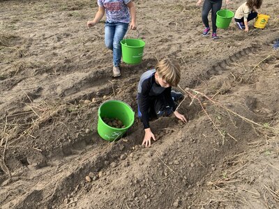 Foto des Albums: Kartoffelfest
