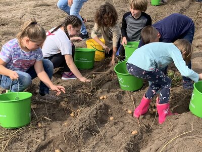 Foto des Albums: Kartoffelfest