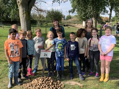 Foto des Albums: Kartoffelfest