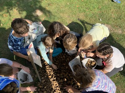 Foto des Albums: Kartoffelfest