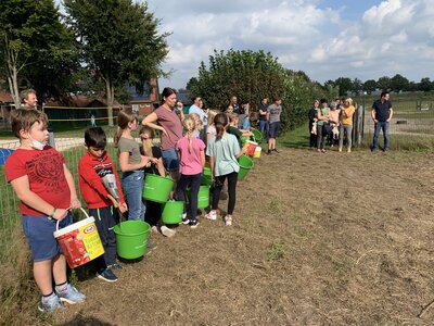 Foto des Albums: Kartoffelfest