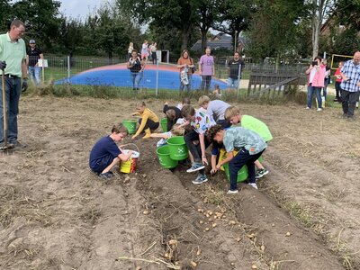 Foto des Albums: Kartoffelfest