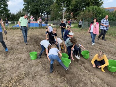 Foto des Albums: Kartoffelfest