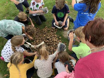 Foto des Albums: Kartoffelfest