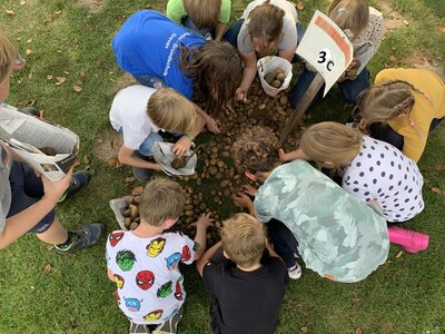 Foto des Albums: Kartoffelfest