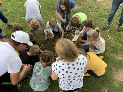 Foto des Albums: Kartoffelfest