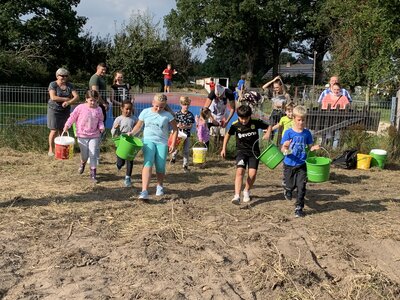 Foto des Albums: Kartoffelfest
