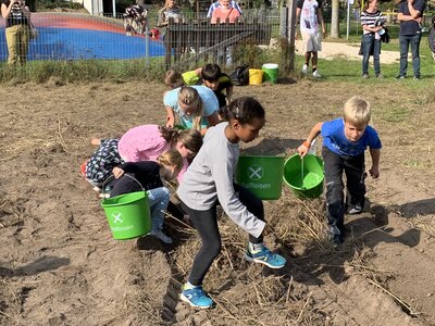 Foto des Albums: Kartoffelfest