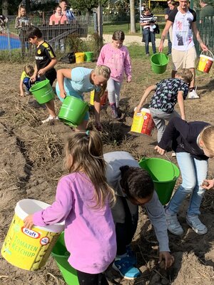 Foto des Albums: Kartoffelfest