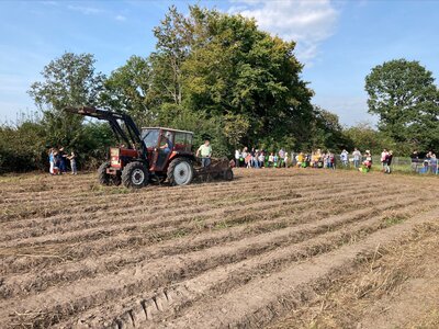 Foto des Albums: Kartoffelfest