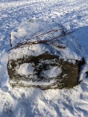 Schneewesen in Eversburg 10  (Bild vergr&ouml;&szlig;ern)