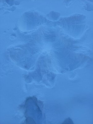 Schneewesen in Eversburg 2  (Bild vergr&ouml;&szlig;ern)