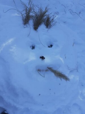 Schneewesen in Eversburg 4  (Bild vergr&ouml;&szlig;ern)