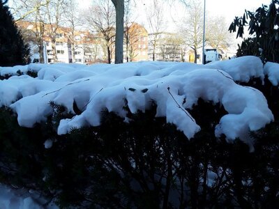 Schneewesen in Eversburg 5  (Bild vergr&ouml;&szlig;ern)