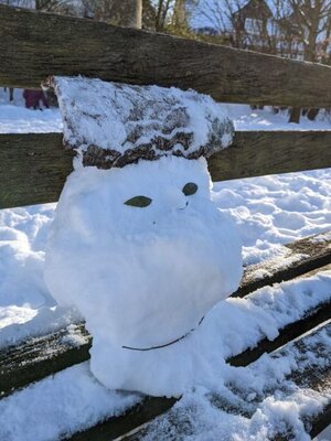 Schneewesen in Eversburg 7  (Bild vergr&ouml;&szlig;ern)
