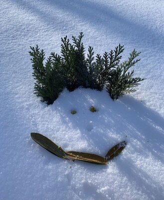 Schneewesen in Eversburg 8  (Bild vergr&ouml;&szlig;ern)