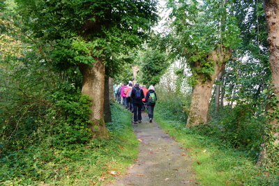 Entlang am W&uuml;lfinghauser M&uuml;hlenbach  (Bild vergr&ouml;&szlig;ern)
