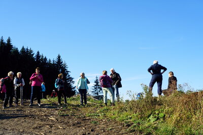Kurzer Stopp mit Panoramasuche  (Bild vergr&ouml;&szlig;ern)