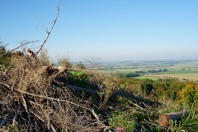 Panorama gefunden  (Bild vergr&ouml;&szlig;ern)