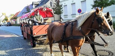 Foto des Albums: Herbstfest 06.10.2021